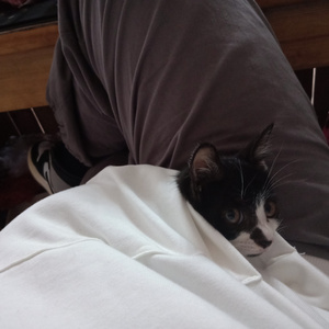 嗯啊不要疼视频
